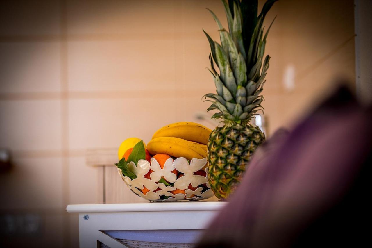 Apartments Marija Okrug Gornji Εξωτερικό φωτογραφία